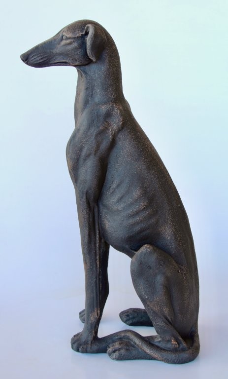 Large Distressed Dog